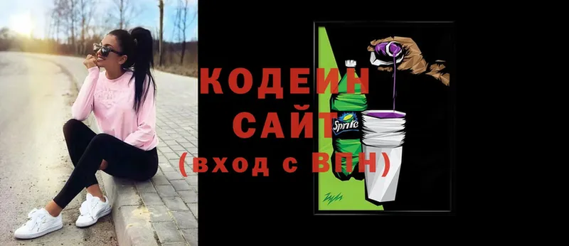 дарнет шоп  mega онион  Кодеиновый сироп Lean напиток Lean (лин)  Камышлов 