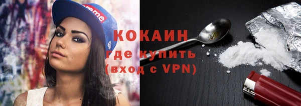 мдпв Анива