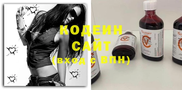 индика Алапаевск