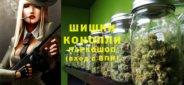 мдпв Анива
