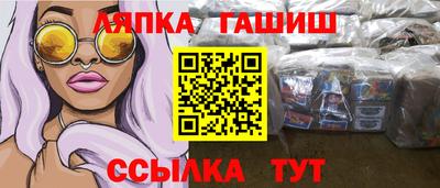 спайс Гагарин