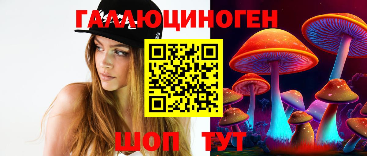 Псилоцибиновые грибы MAGIC MUSHROOMS  купить наркотики цена  Камышлов  Вход с VPN  Псилоцибиновые грибы Magic Shrooms 